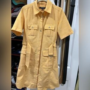 Sharagano Dress